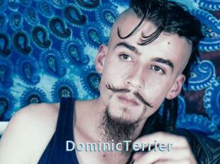 DominicTerrier