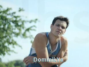 DominikYa