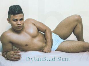 DylanStud19cm