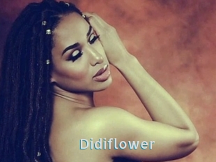 Didiflower