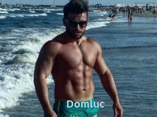 Domluc