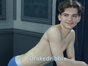 Drakedribble