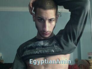 EgyptianAmin