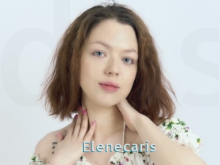 Elenecaris