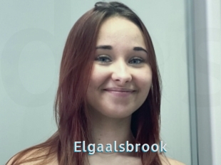 Elgaalsbrook