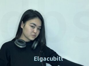 Elgacubitt
