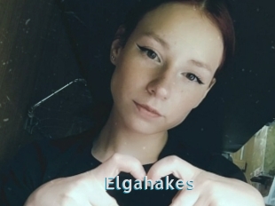 Elgahakes