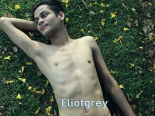 Eliotgrey