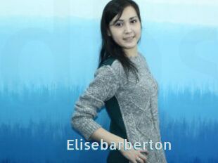 Elisebarberton