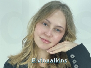 Elvinaatkins