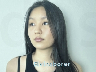 Elvinaborer