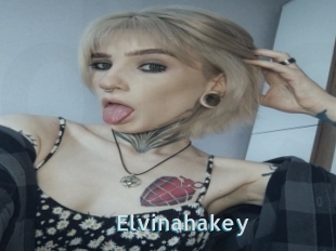 Elvinahakey
