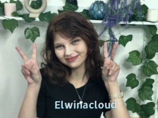 Elwinacloud