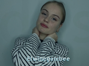 Elwinegambee