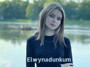 Elwynadunkum