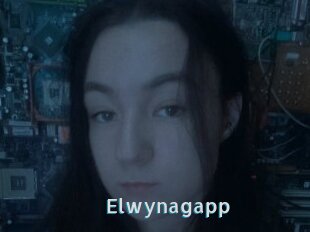Elwynagapp