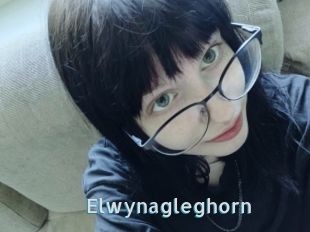 Elwynagleghorn