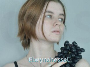 Elwynahessel