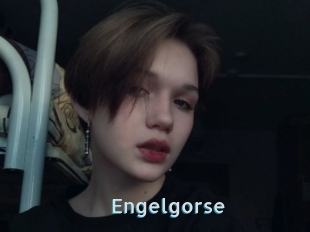 Engelgorse