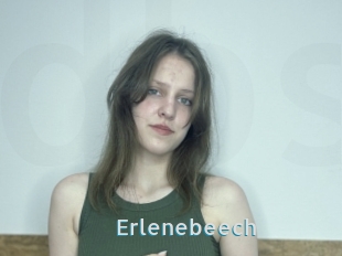Erlenebeech