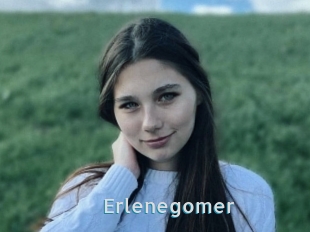 Erlenegomer