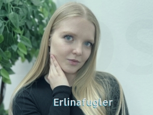 Erlinafugler
