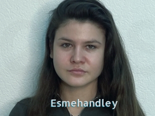 Esmehandley