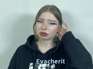 Evacherit