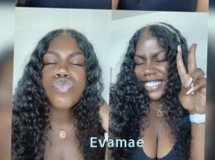 Evamae