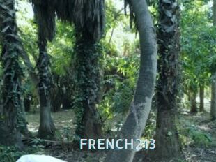 FRENCH213