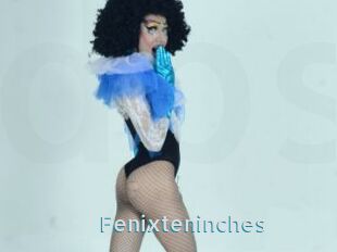 Fenixteninches