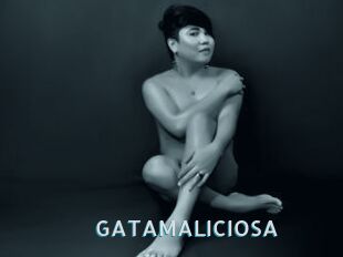 GATAMALICIOSA