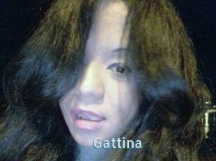 Gattina