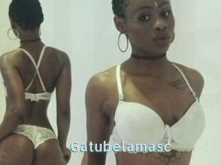Gatubela_masc
