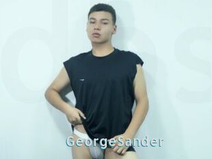 GeorgeSander