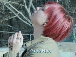 GessNice