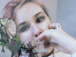 Grothia