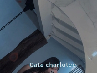 Gate_charlotee