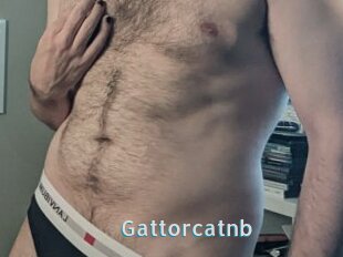 Gattorcatnb