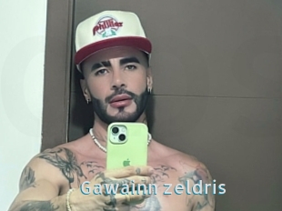 Gawainn_zeldris