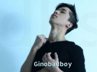 Ginobadboy
