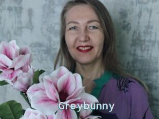 Greybunny