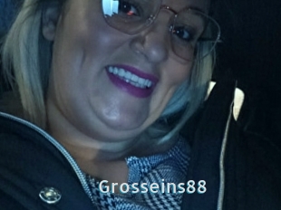 Grosseins88