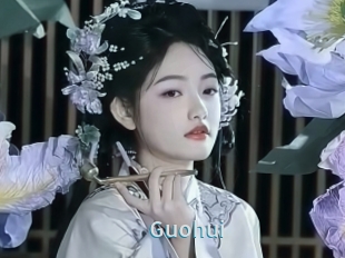 Guohui