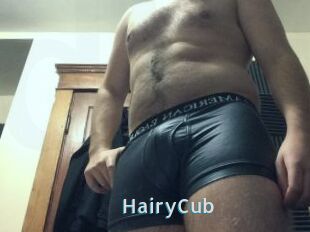 HairyCub
