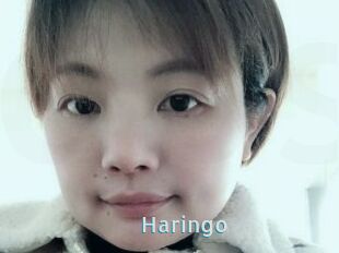 Haringo