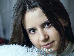 Harley_Due