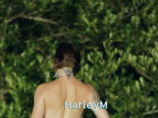 HarleyM