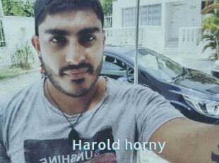 Harold_horny