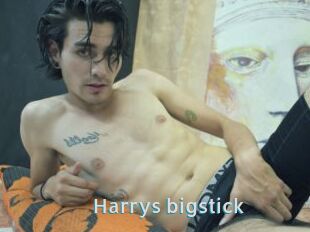 Harrys_bigstick